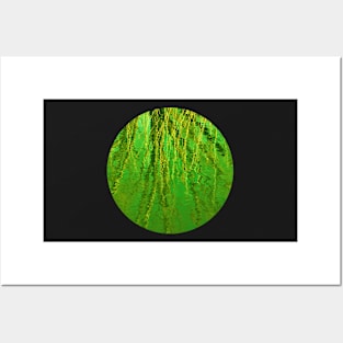 Abstract Green Water Reflections of Trees Posters and Art